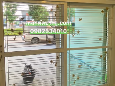 ภาพแกลลอรี่ 5